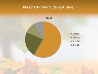 Bokeh Clean Seasonal PowerPoint Template