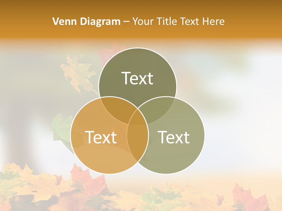 Bokeh Clean Seasonal PowerPoint Template