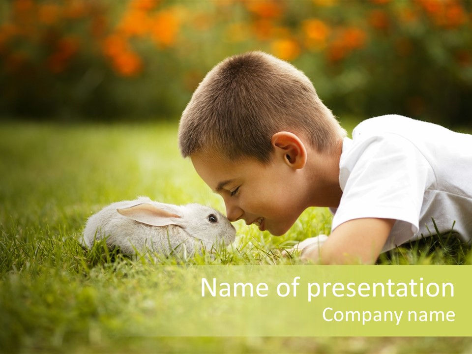 Little Infant Fur PowerPoint Template