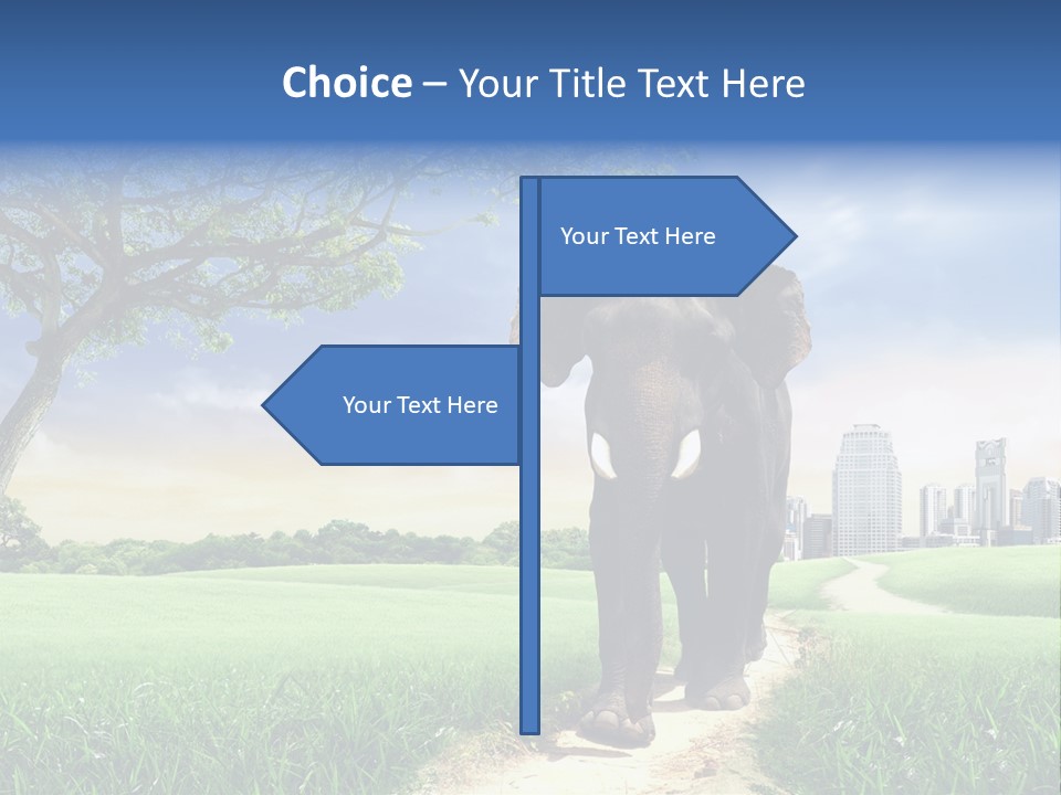 Asia History Hire PowerPoint Template