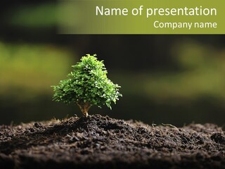 Botany Earth Plant PowerPoint Template