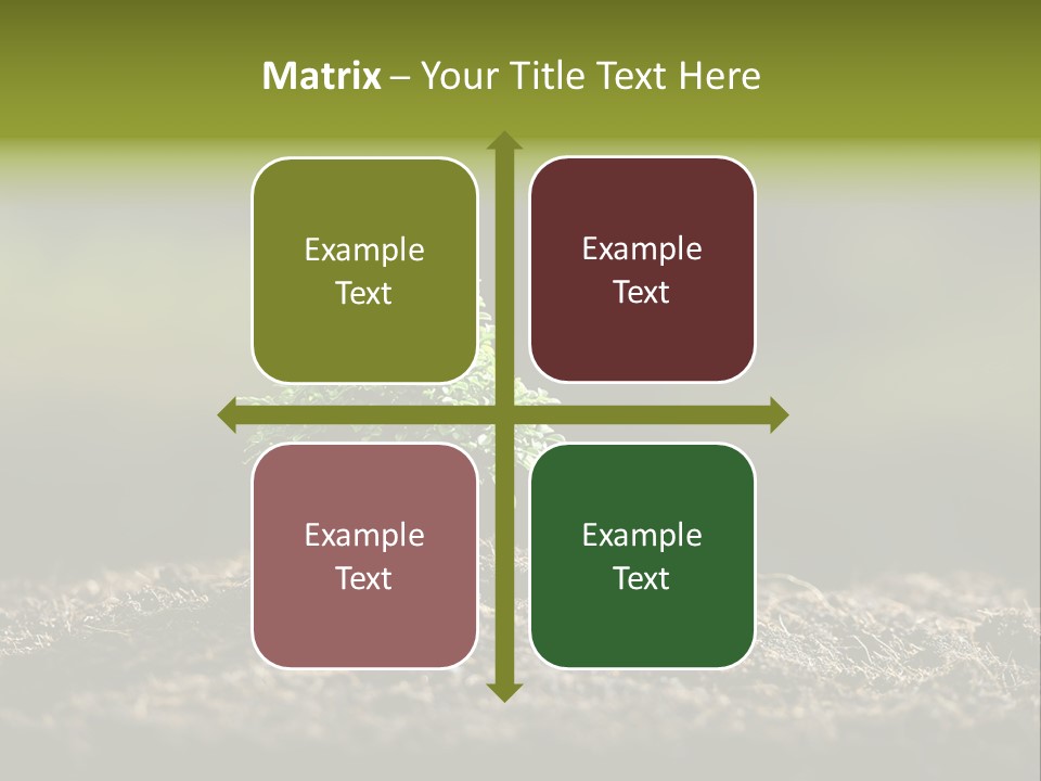 Botany Earth Plant PowerPoint Template