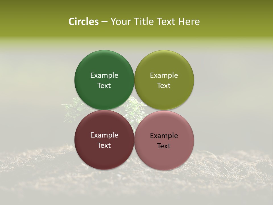 Botany Earth Plant PowerPoint Template