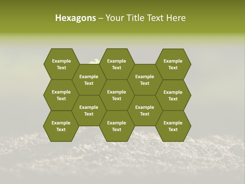 Botany Earth Plant PowerPoint Template