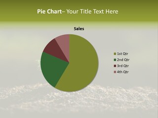 Botany Earth Plant PowerPoint Template