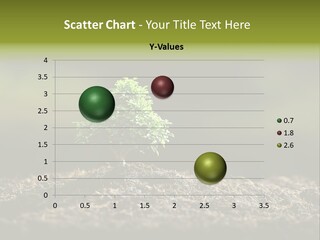 Botany Earth Plant PowerPoint Template