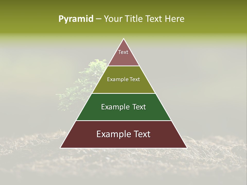 Botany Earth Plant PowerPoint Template