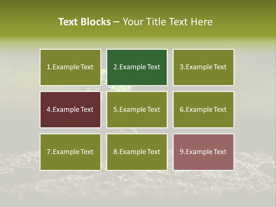 Botany Earth Plant PowerPoint Template