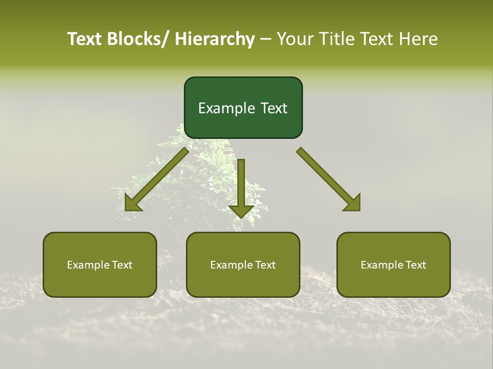 Botany Earth Plant PowerPoint Template