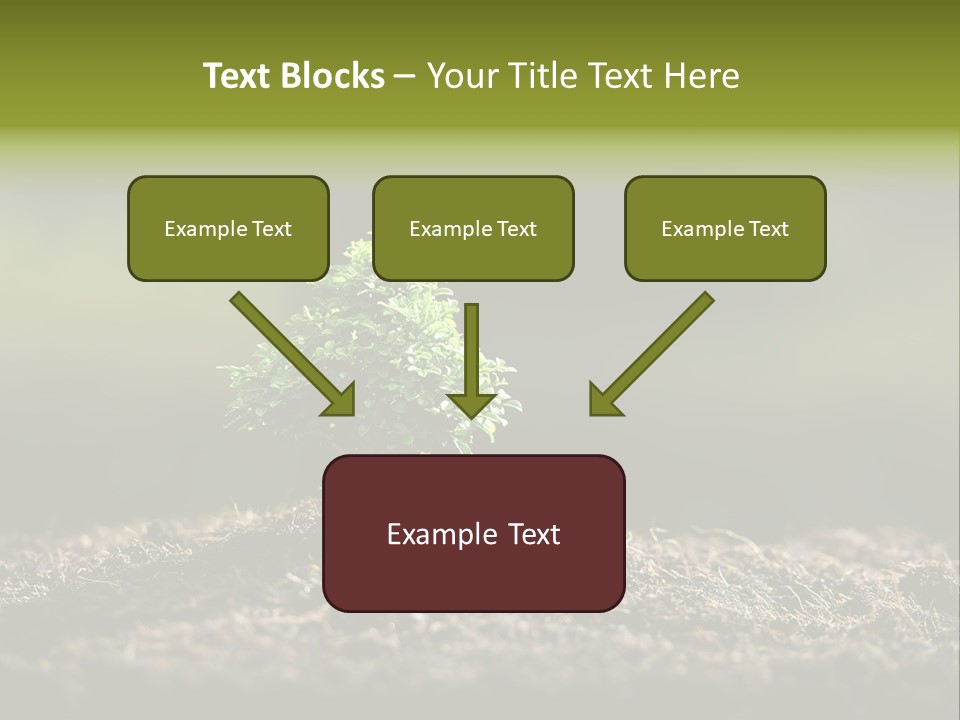 Botany Earth Plant PowerPoint Template