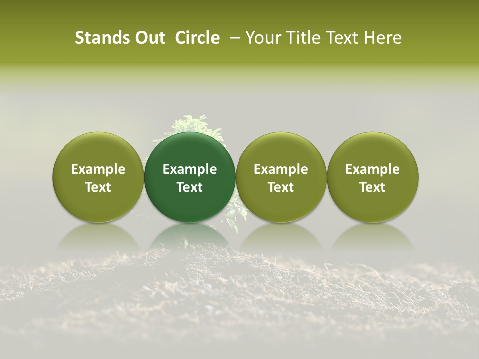 Botany Earth Plant PowerPoint Template