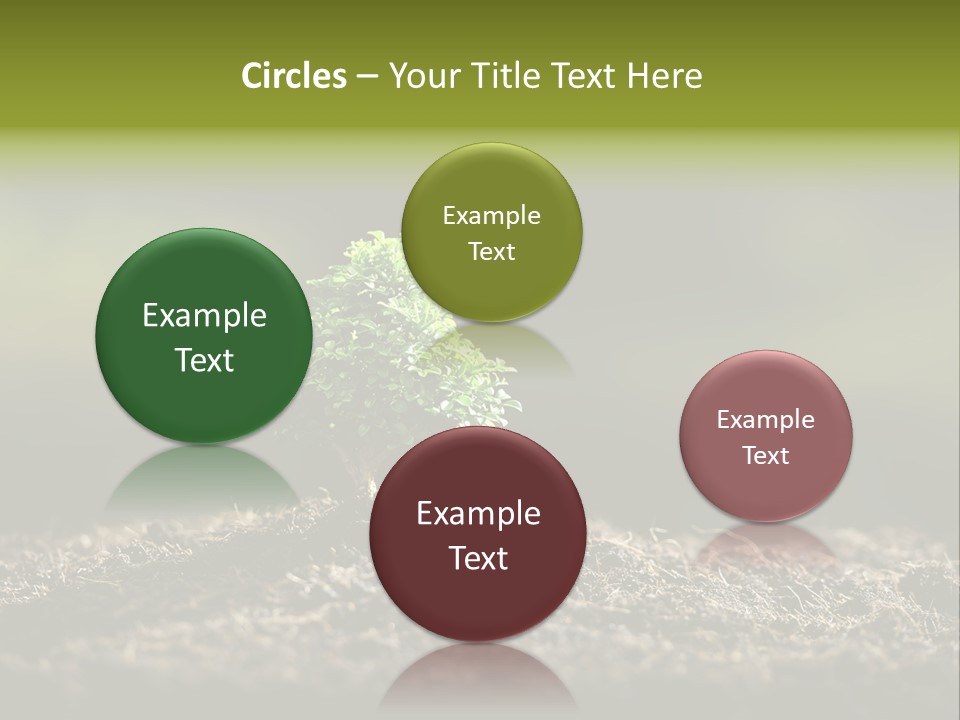 Botany Earth Plant PowerPoint Template