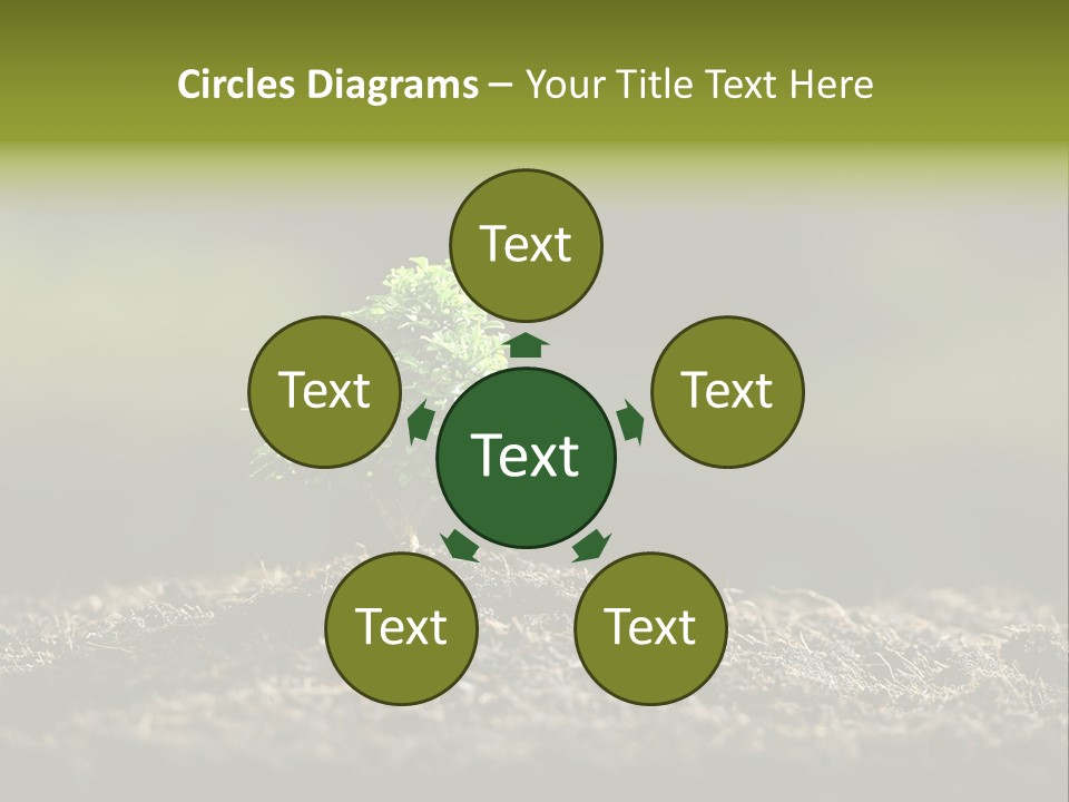 Botany Earth Plant PowerPoint Template