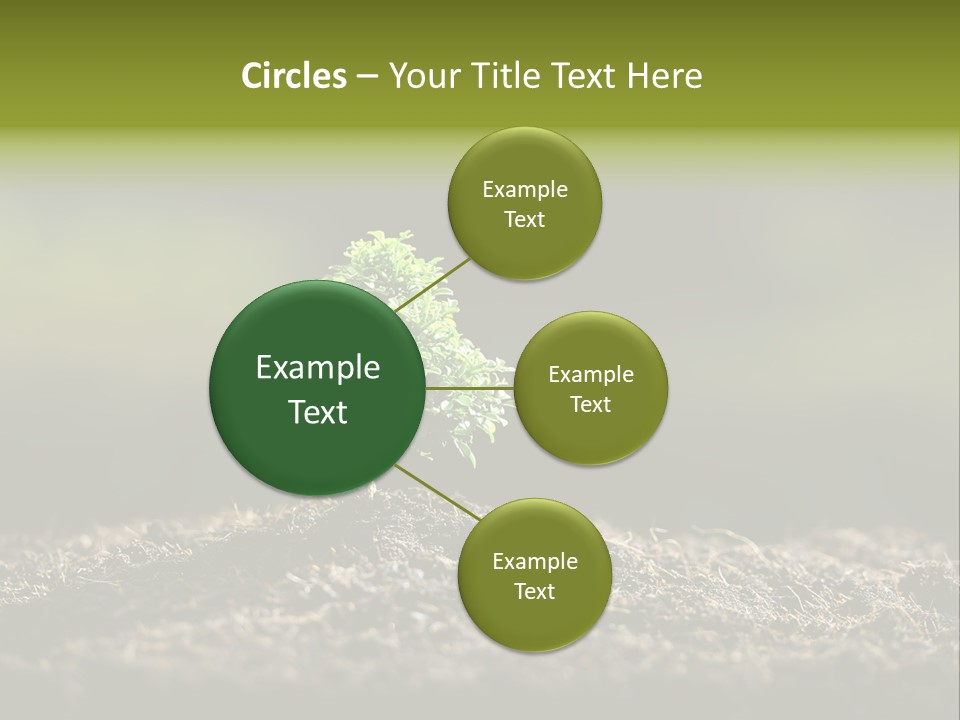 Botany Earth Plant PowerPoint Template
