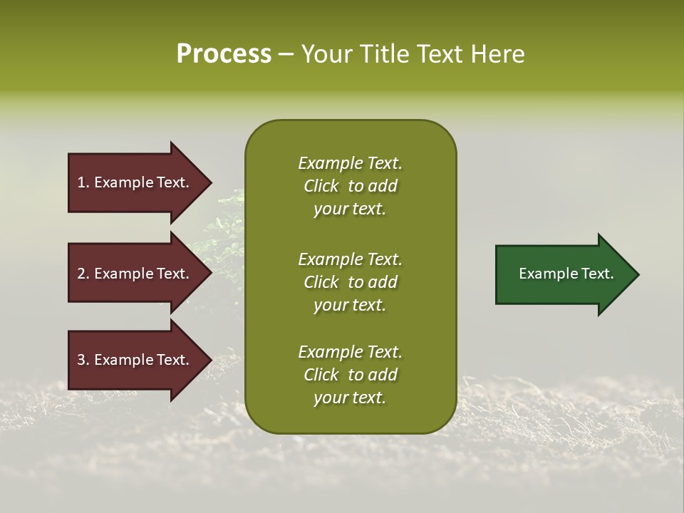 Botany Earth Plant PowerPoint Template
