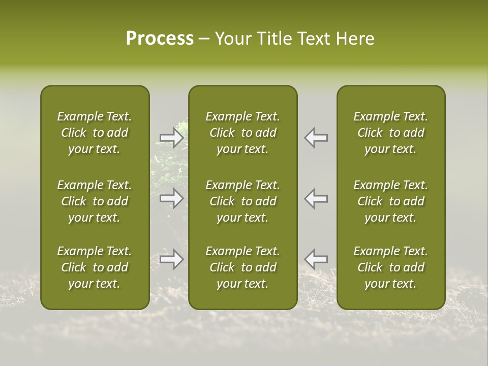 Botany Earth Plant PowerPoint Template