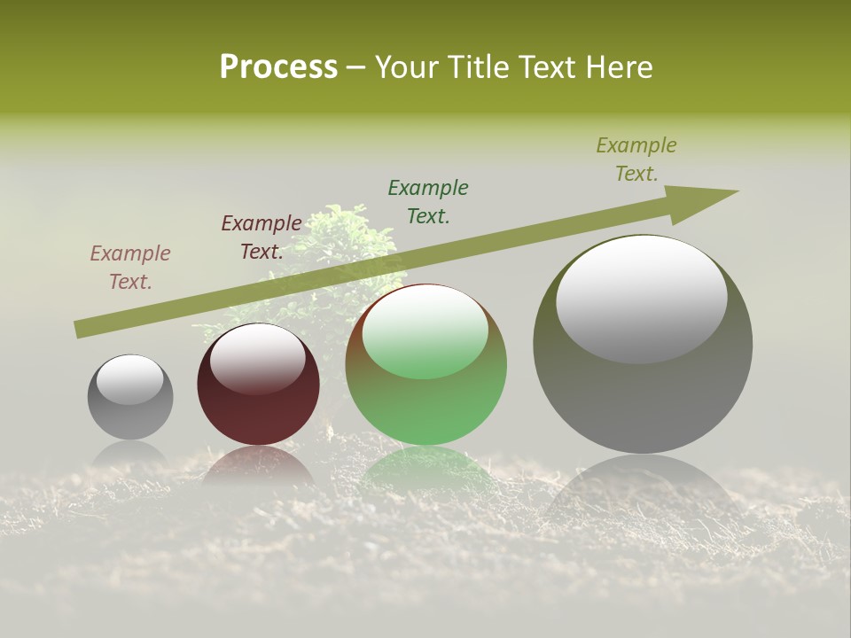 Botany Earth Plant PowerPoint Template