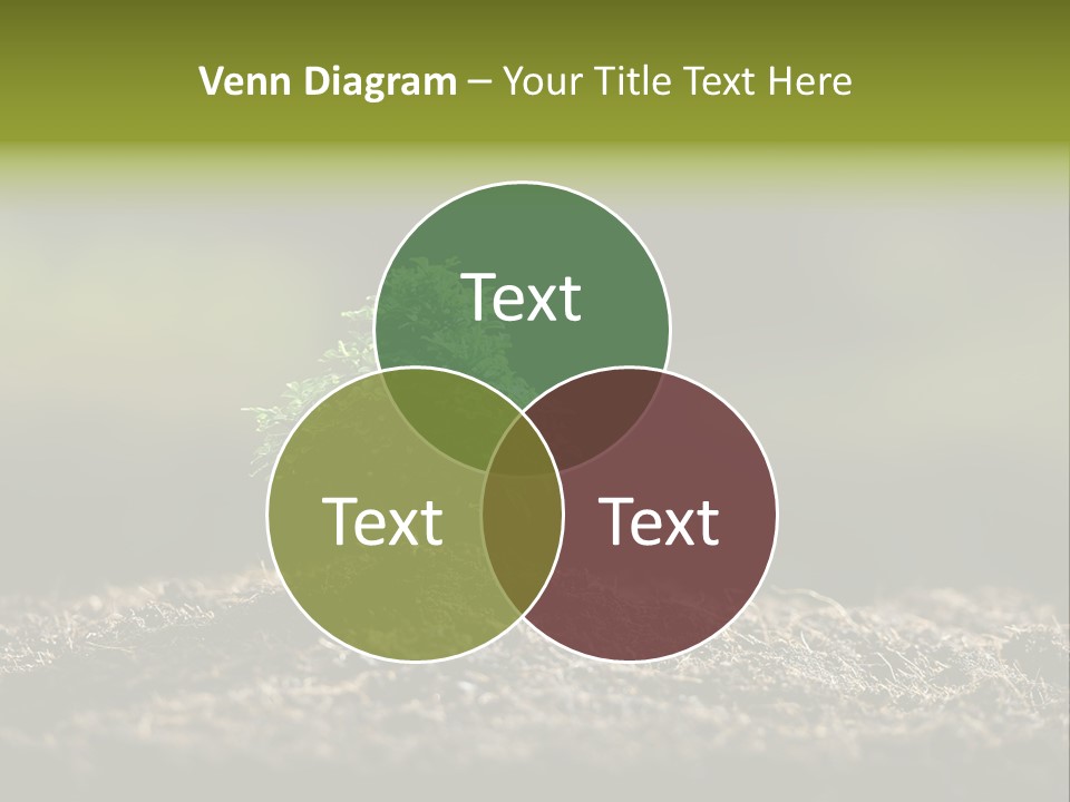 Botany Earth Plant PowerPoint Template