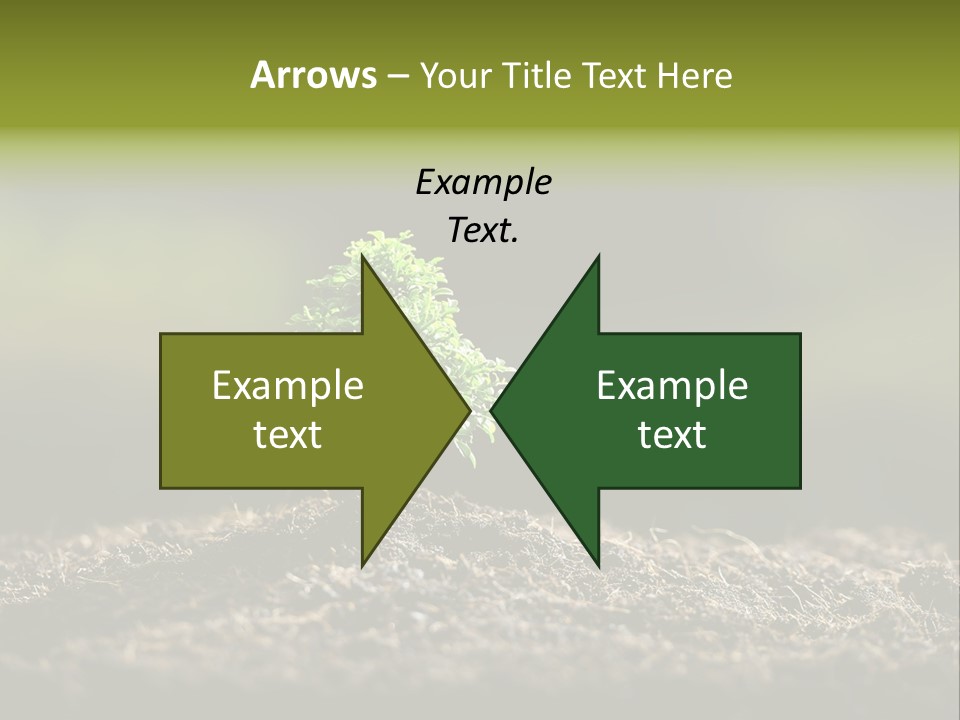 Botany Earth Plant PowerPoint Template