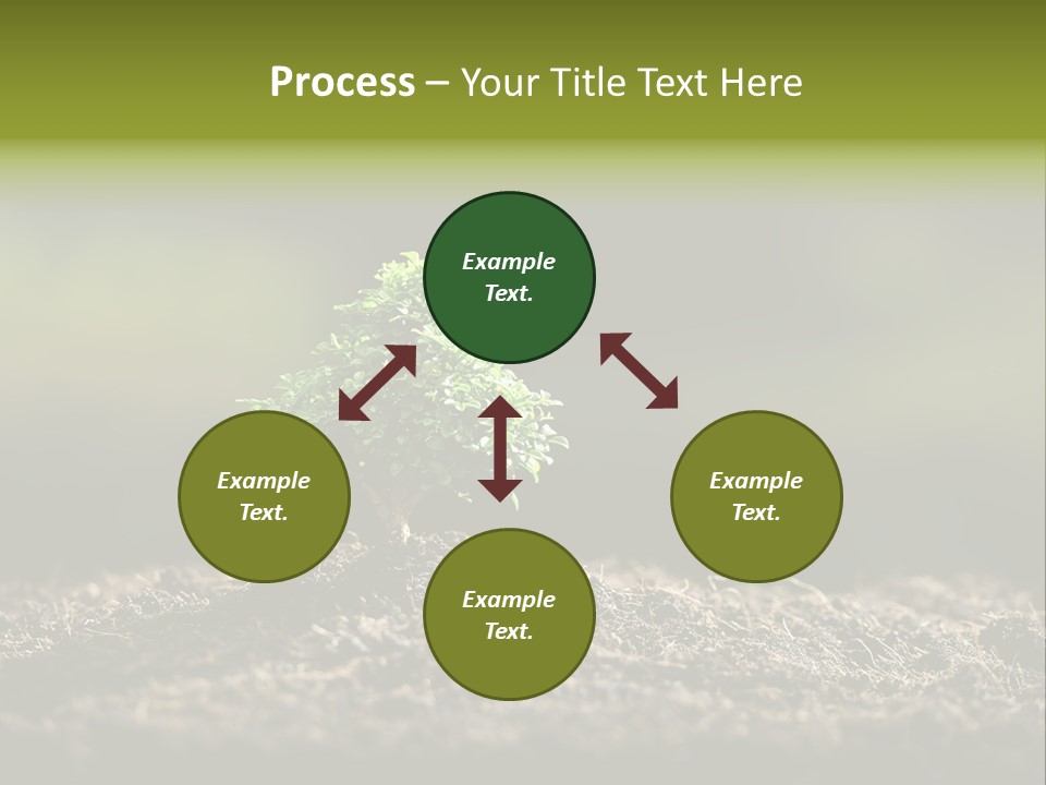 Botany Earth Plant PowerPoint Template