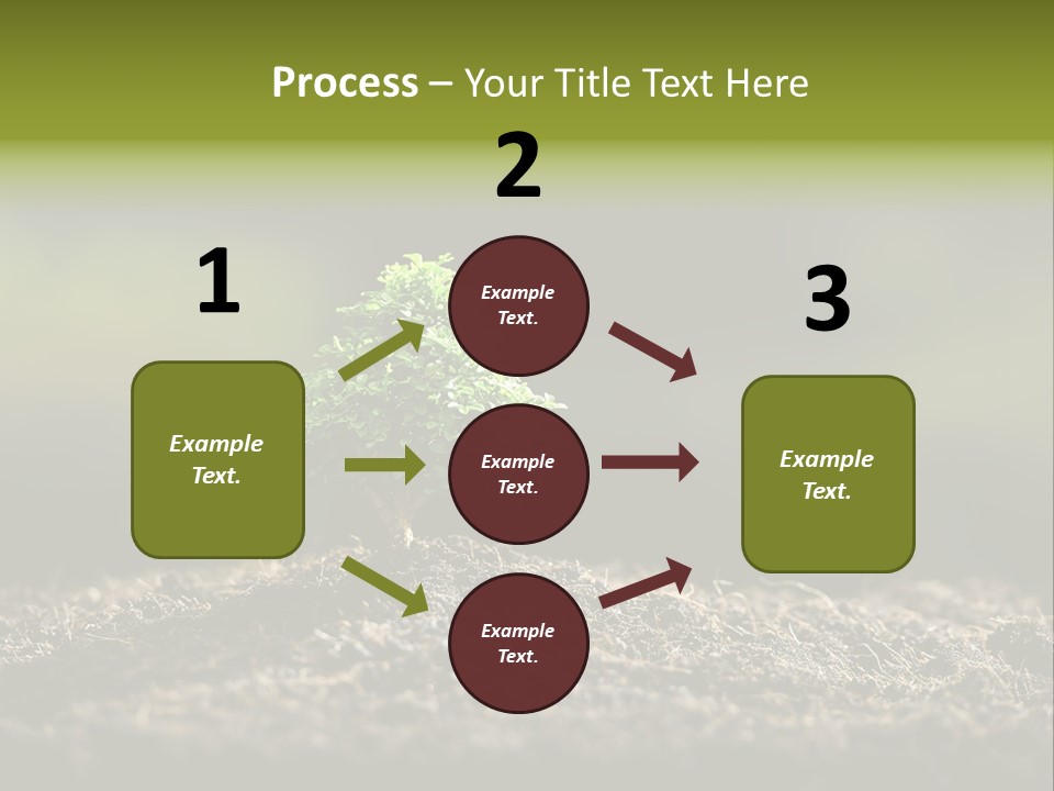 Botany Earth Plant PowerPoint Template