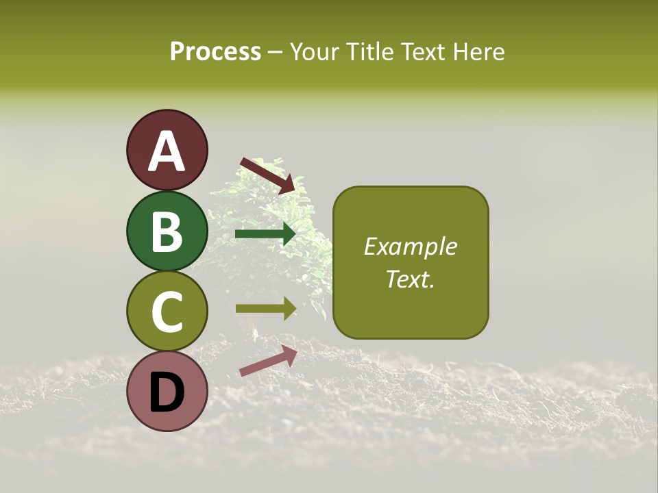 Botany Earth Plant PowerPoint Template