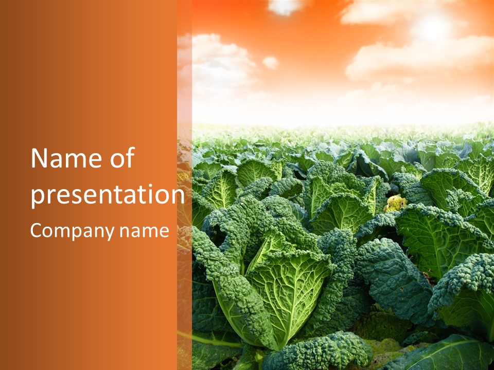 Agriculture Collard Greens Organic PowerPoint Template