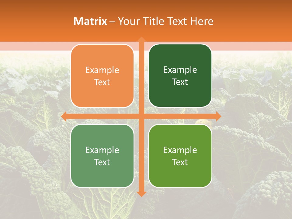 Agriculture Collard Greens Organic PowerPoint Template