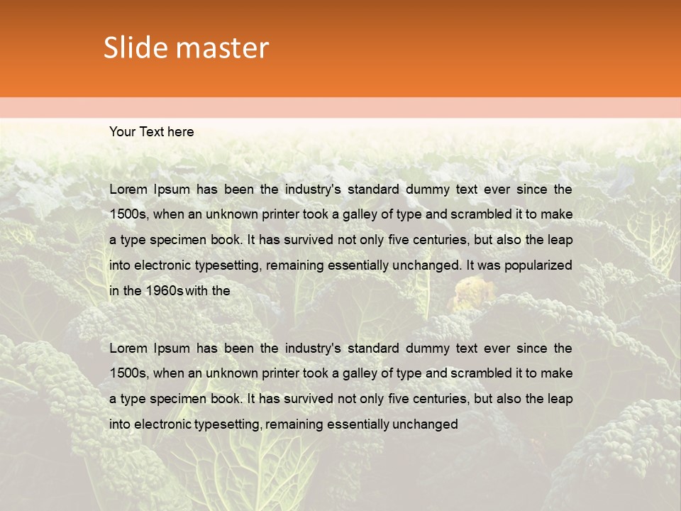 Agriculture Collard Greens Organic PowerPoint Template