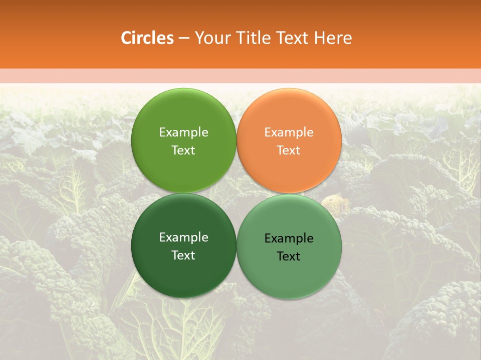 Agriculture Collard Greens Organic PowerPoint Template