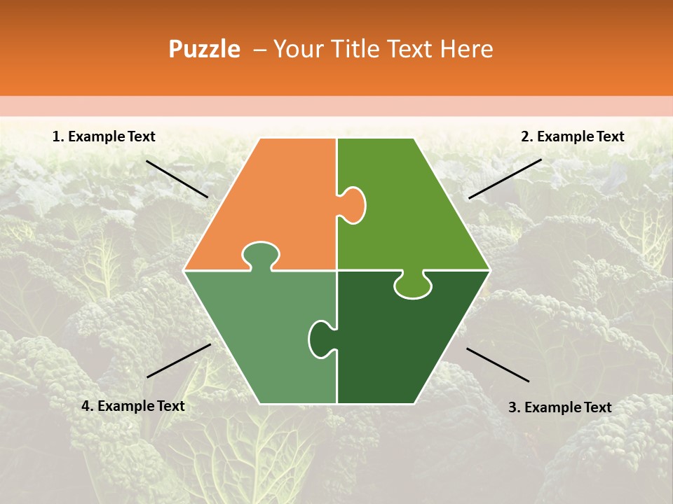 Agriculture Collard Greens Organic PowerPoint Template