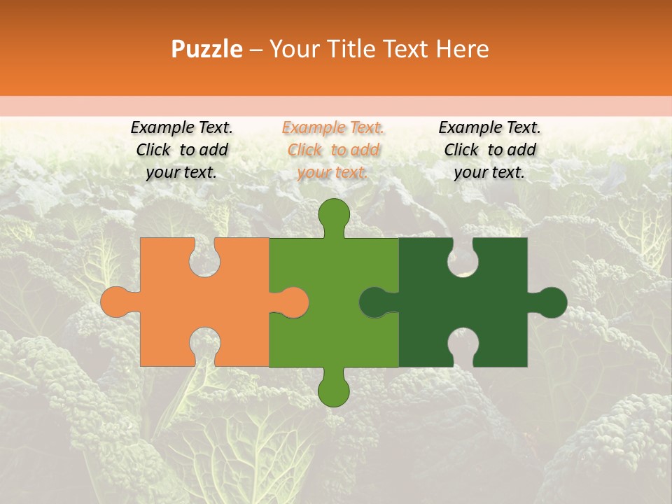 Agriculture Collard Greens Organic PowerPoint Template