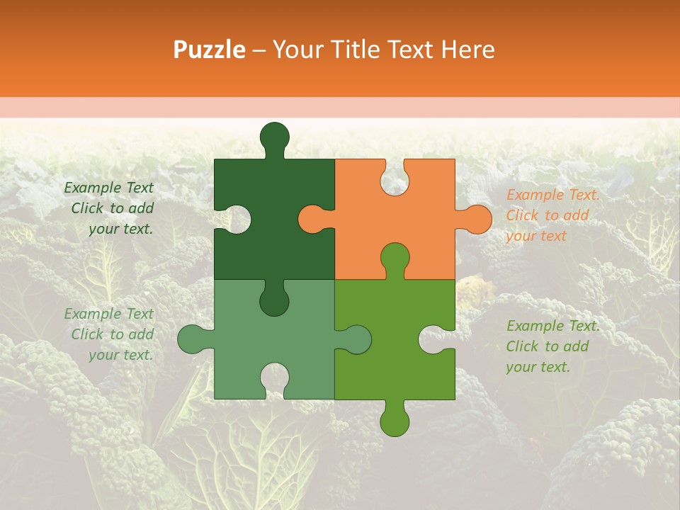 Agriculture Collard Greens Organic PowerPoint Template