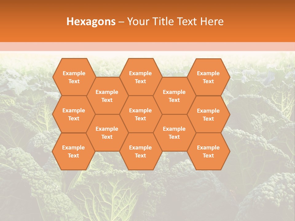 Agriculture Collard Greens Organic PowerPoint Template