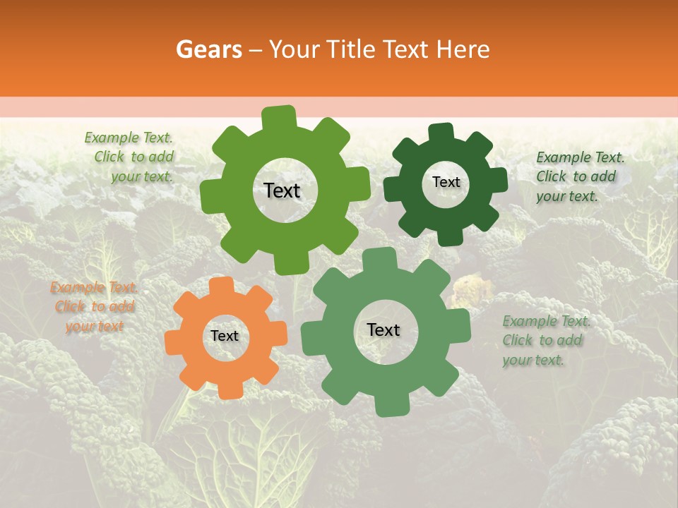 Agriculture Collard Greens Organic PowerPoint Template
