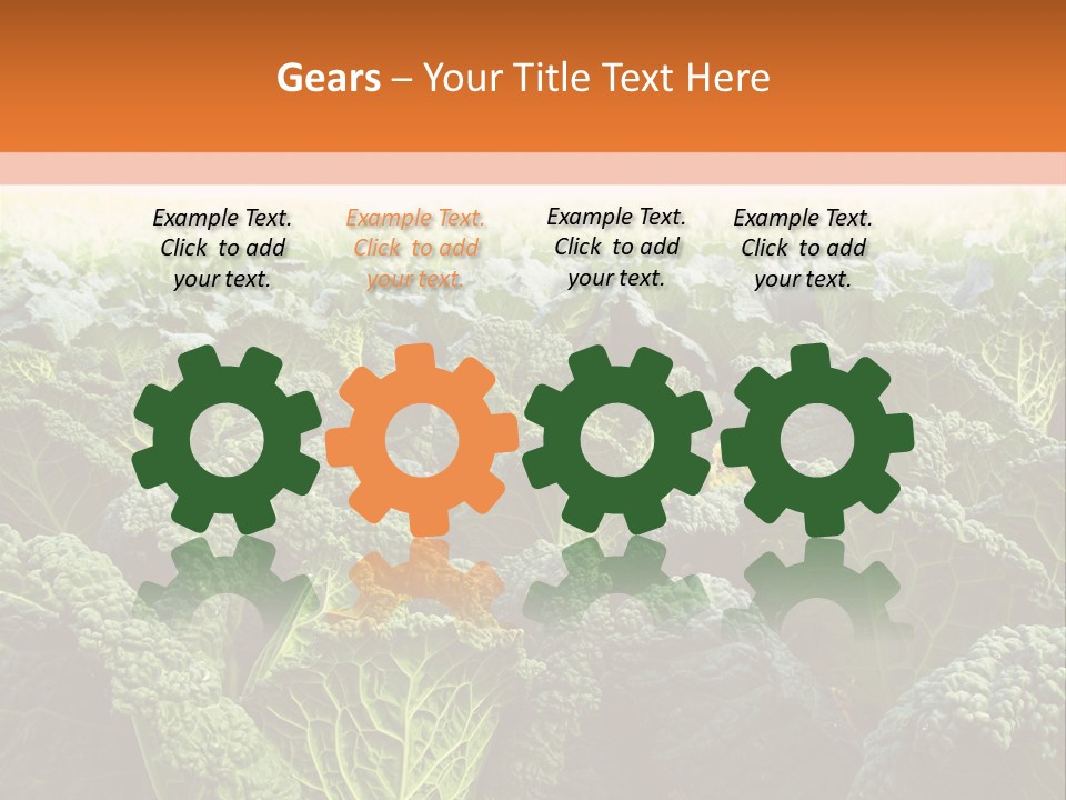 Agriculture Collard Greens Organic PowerPoint Template