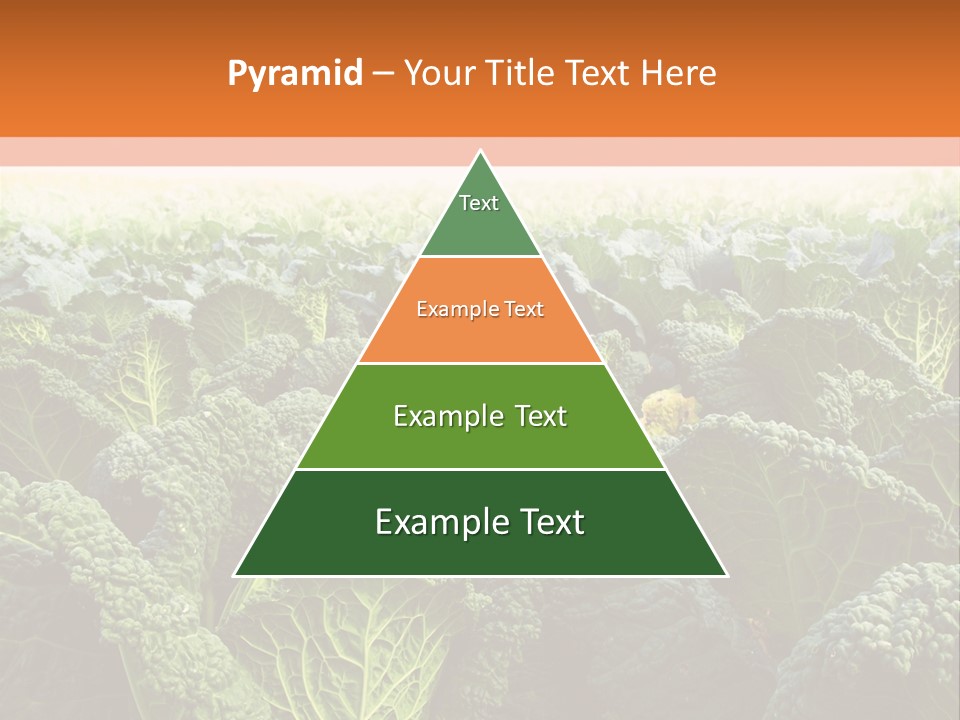Agriculture Collard Greens Organic PowerPoint Template