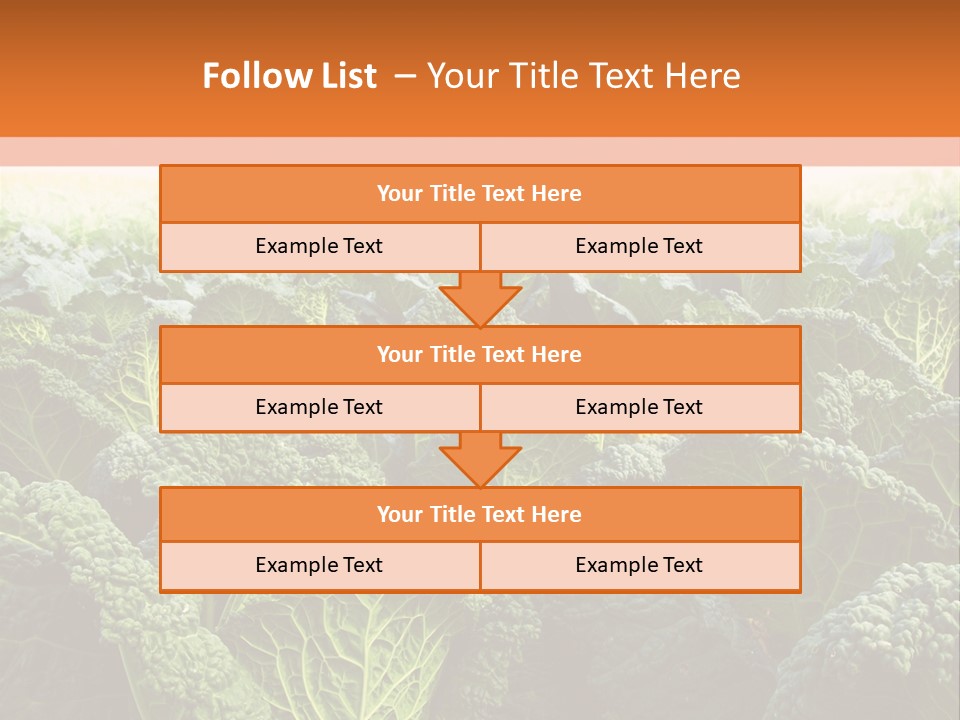 Agriculture Collard Greens Organic PowerPoint Template