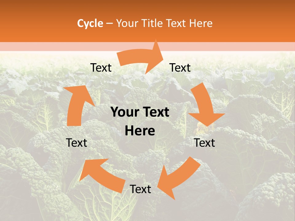 Agriculture Collard Greens Organic PowerPoint Template