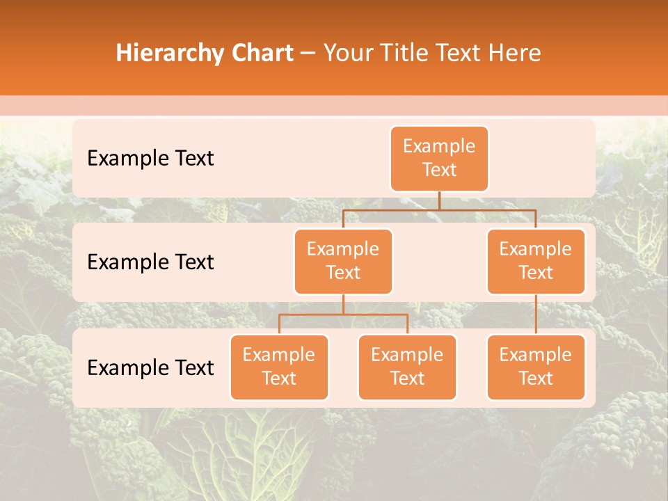 Agriculture Collard Greens Organic PowerPoint Template
