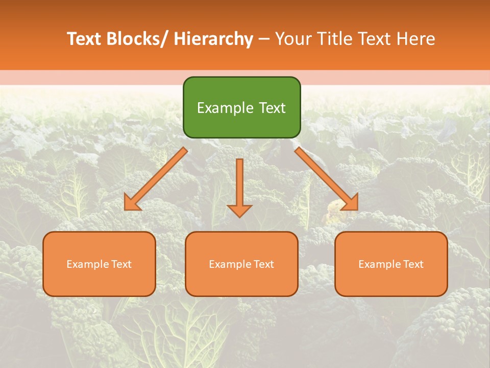 Agriculture Collard Greens Organic PowerPoint Template