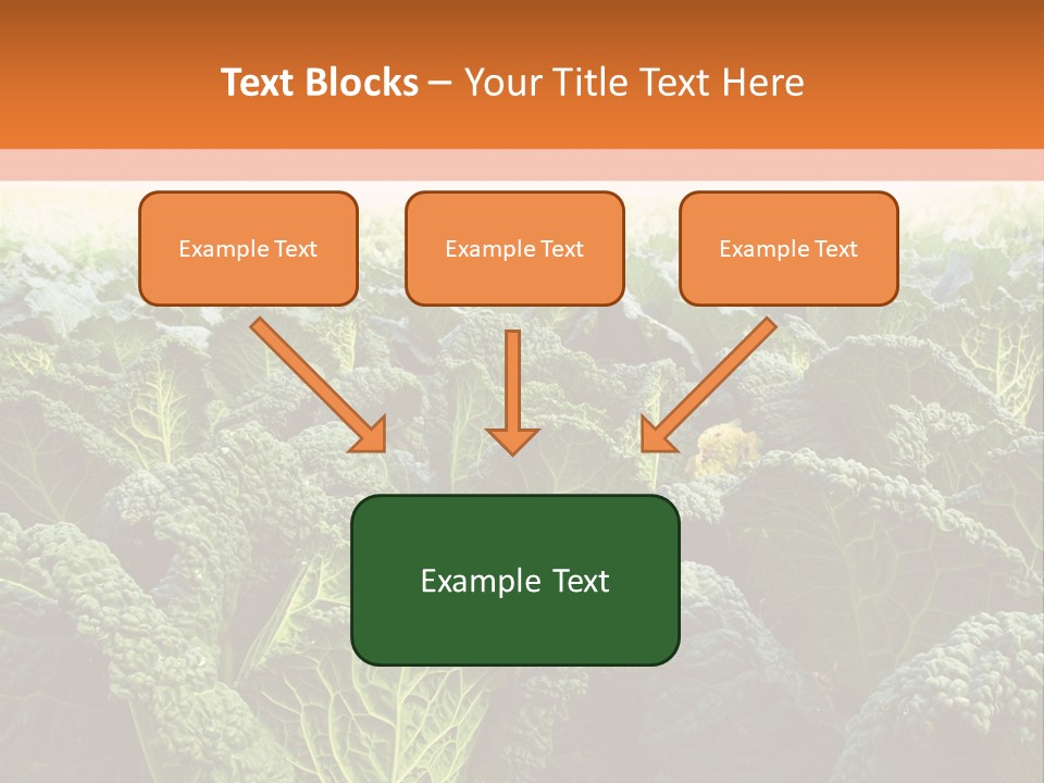 Agriculture Collard Greens Organic PowerPoint Template