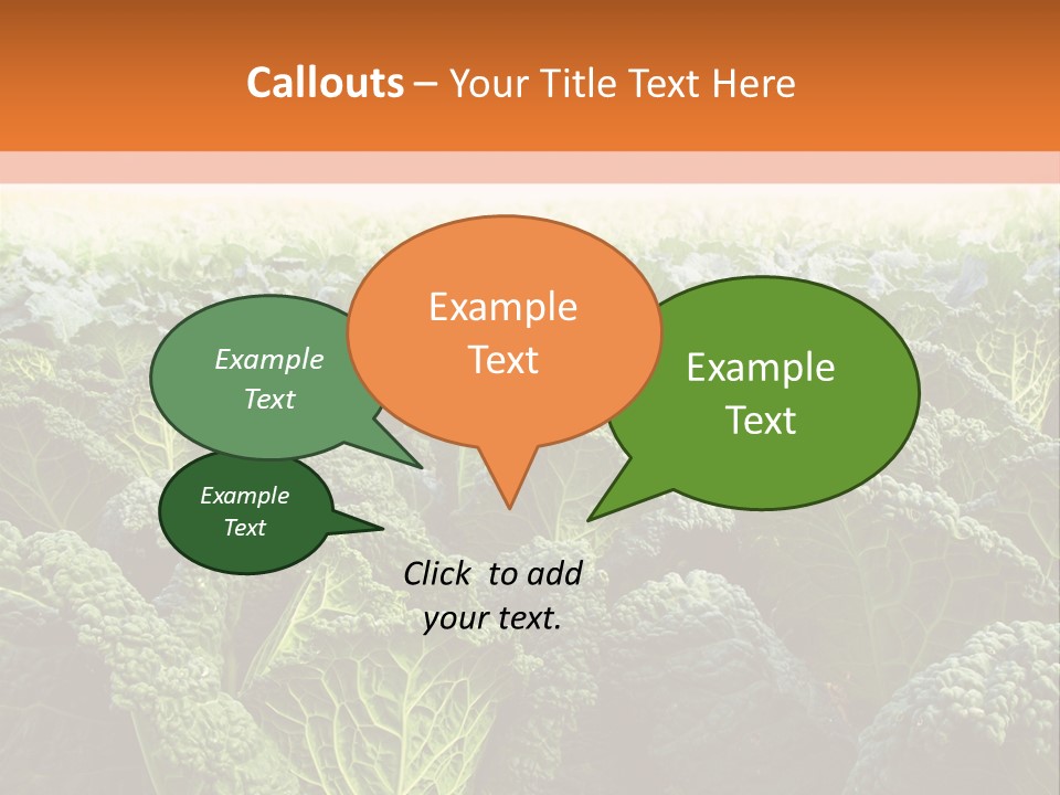Agriculture Collard Greens Organic PowerPoint Template