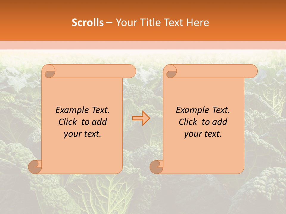 Agriculture Collard Greens Organic PowerPoint Template