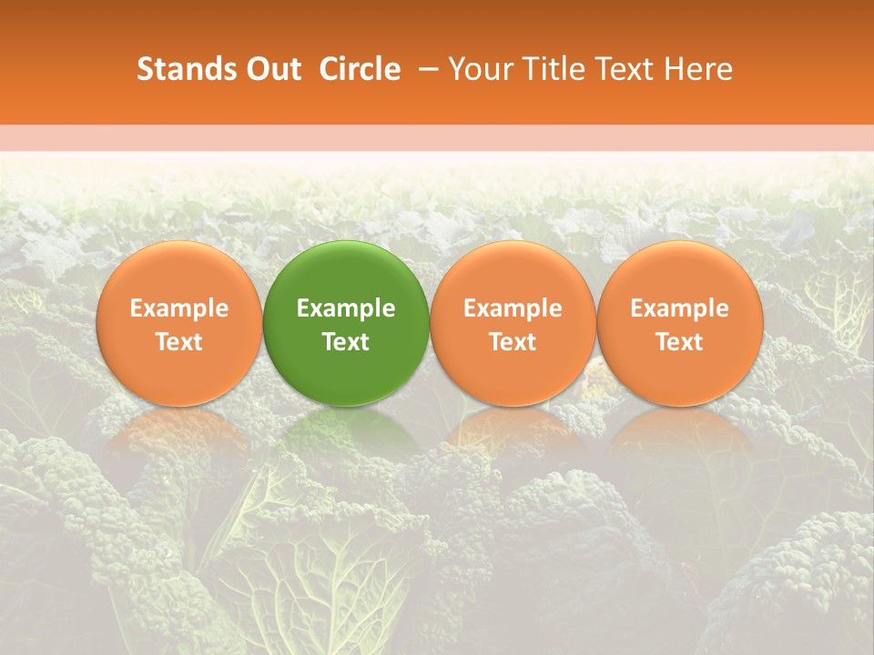 Agriculture Collard Greens Organic PowerPoint Template