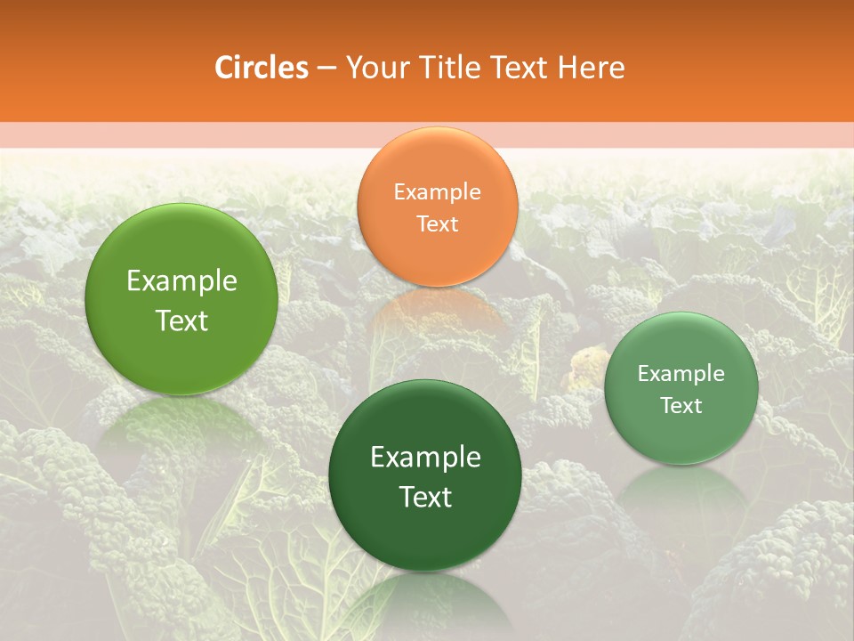 Agriculture Collard Greens Organic PowerPoint Template