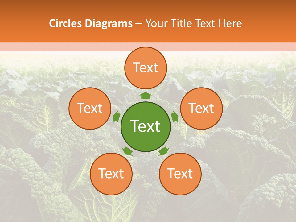 Agriculture Collard Greens Organic PowerPoint Template