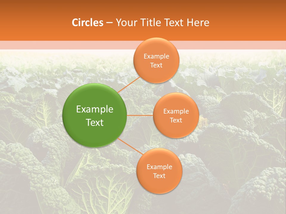 Agriculture Collard Greens Organic PowerPoint Template