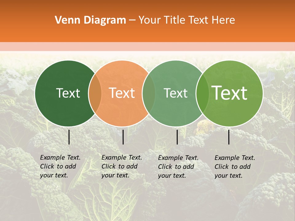 Agriculture Collard Greens Organic PowerPoint Template