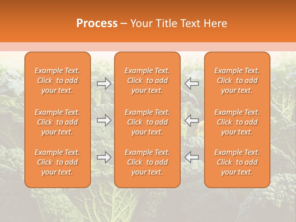Agriculture Collard Greens Organic PowerPoint Template